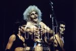 20-06-1979 The Tubes, Fee Waybill live at Congreshall at The Hague, The Netherlands.

[keywords]Live Performance[/keywords]